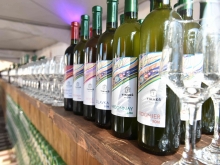 novost tikveš proslavio dolazak mladih vina vinski magazin vino fino