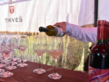 novost tikveš proslavio dolazak mladih vina vinski magazin vino fino