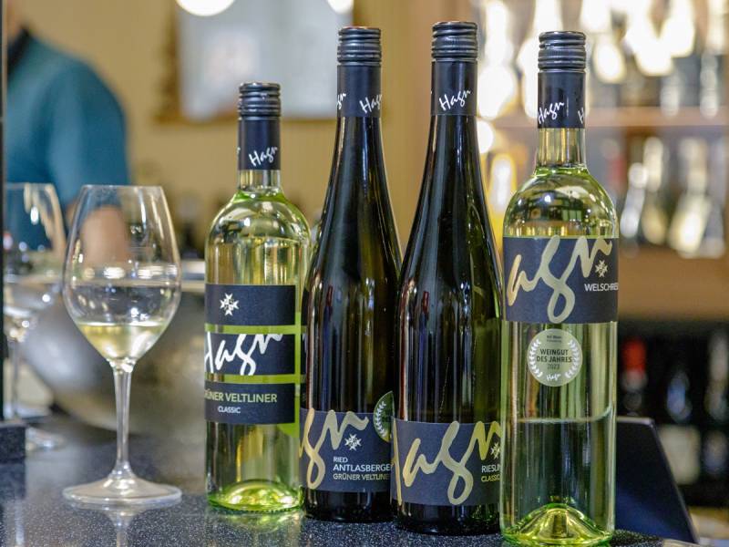 novost austrijska vina za vrele letnje dane vinski magazin vino fino