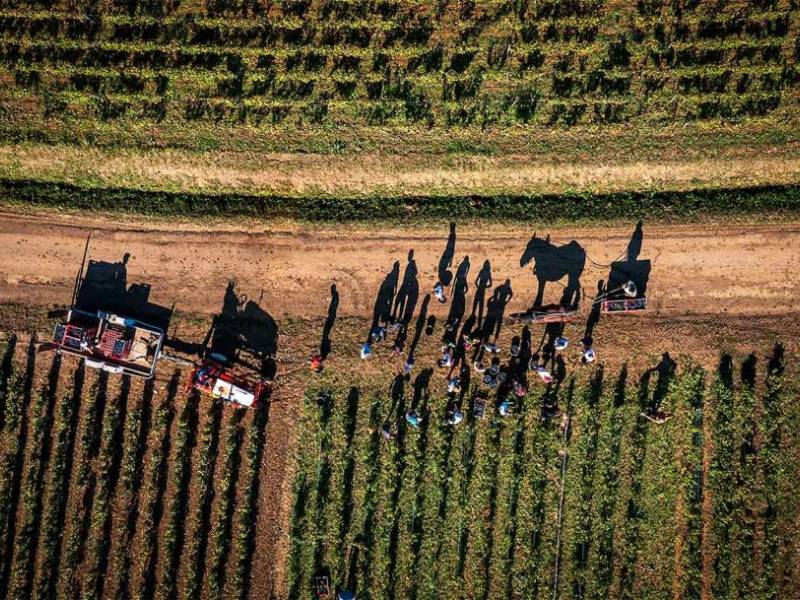 novost berba u burgundiji motiv najbolje vinske fotografije vinski magazin vino fino