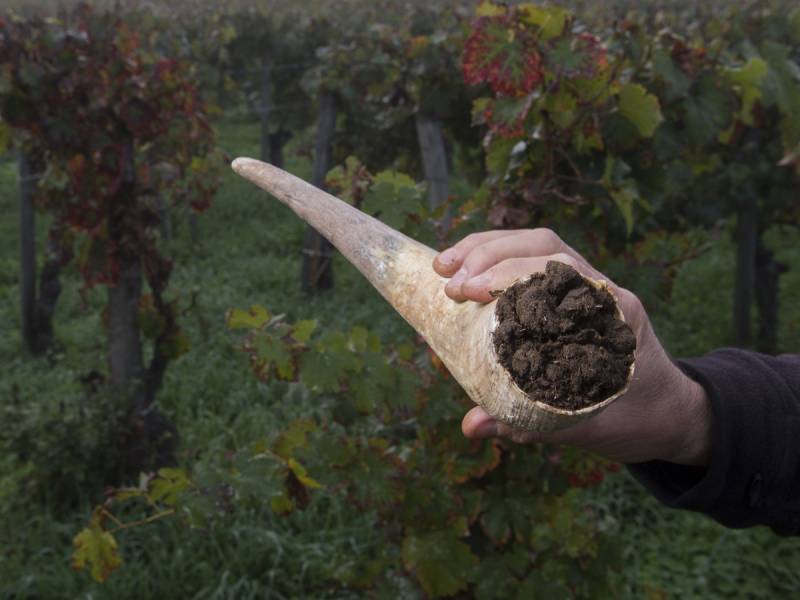 novost biodinamika pseudonauka i ritual vinski magazin vino fino