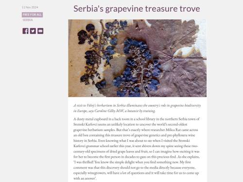 novost blago sremskih karlovaca na sajtu džensis robinson mw vinski magazin vino fino