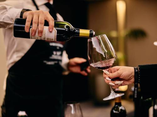 novost bordo u beogradu velika vina iz tople godine vinski magazin vino fino