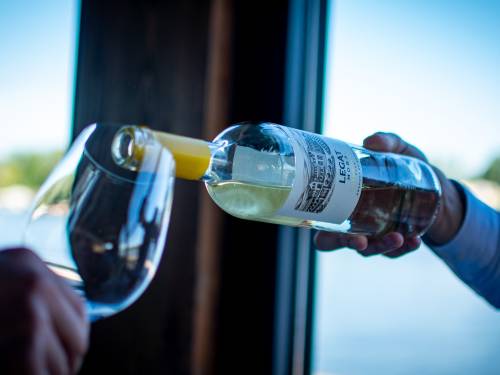 novost linija vina moba - omaž zadrugarskom duhu vinski magazin vino fino