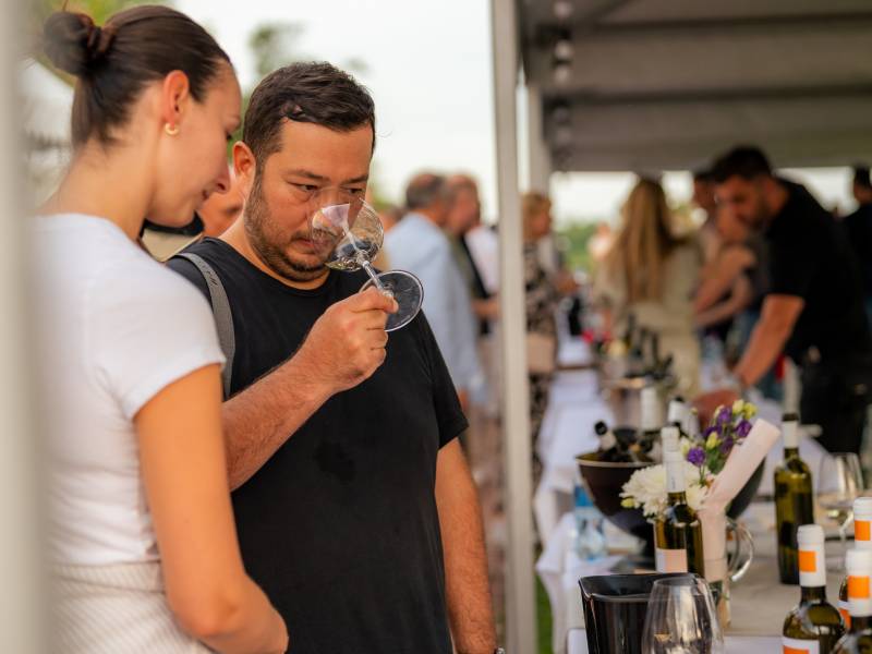 novost najbolja vina od grašca stižu u novi sad i beograd vinski magazin vino fino