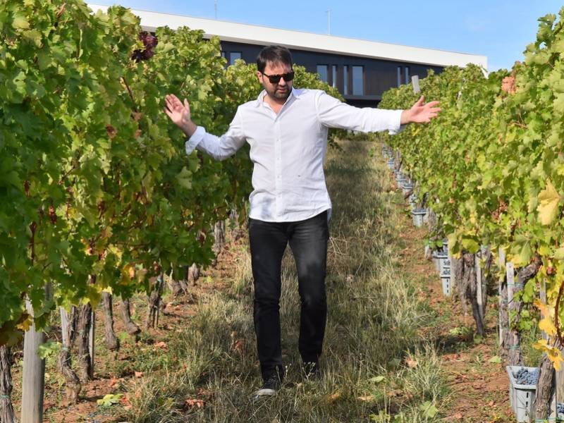 novost nebojša aleksić i dalje osluškujemo prirodu vinski magazin vino fino