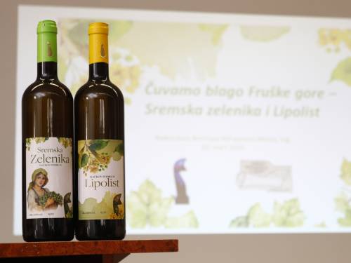 novost novi život starih sorti - sremske zelenike i lipolista vinski magazin vino fino