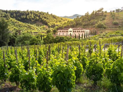 novost predstavljena iskustva Španije u proizvodnji vina vinski magazin vino fino