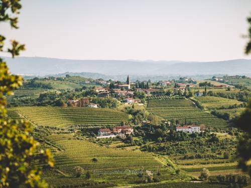 novost slovenija zakon protiv prirodnih vina ili mnogo buke ni oko čega vinski magazin vino fino