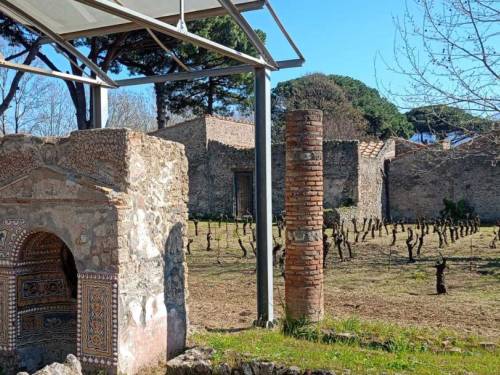 novost u drevnim pompejima ponovo će se praviti vino vinski magazin vino fino