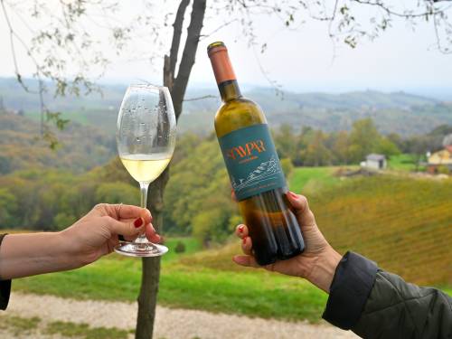 novost vina bregovite hrvatske osvajaju srpske vinoljupce vinski magazin vino fino