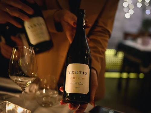 novost vina sveta u Šaranu vinski magazin vino fino
