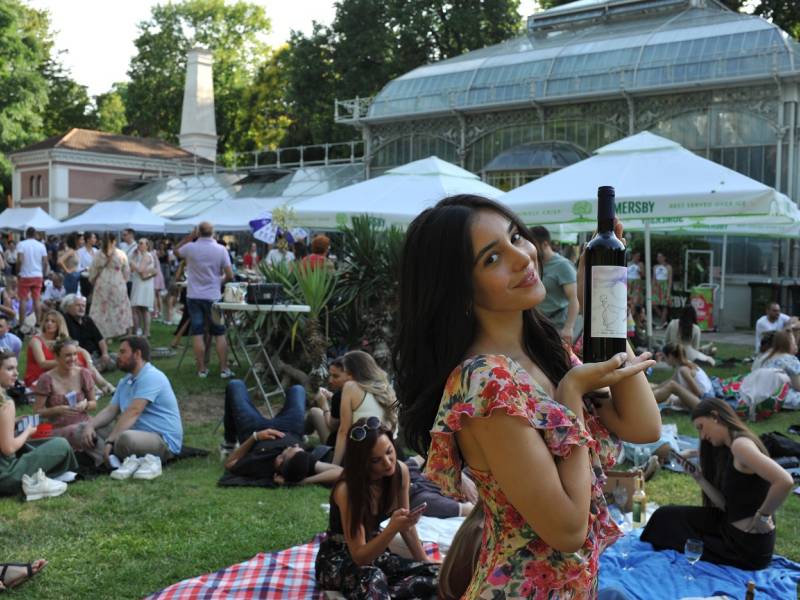 novost wine garden vinski piknik u jevremovcu vinski magazin vino fino