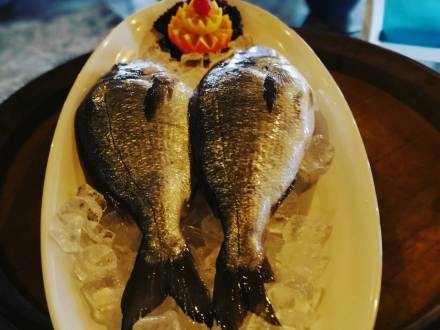 restoran nedelje tri lepe vinski magazin vino fino