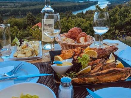 restoran nedelje vinogradi vinski magazin vino fino