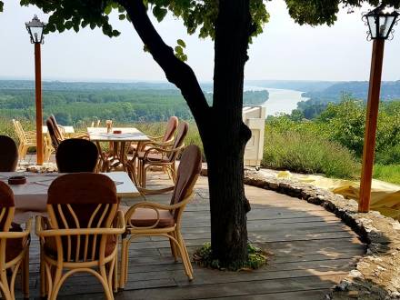 restoran nedelje vinogradi vinski magazin vino fino