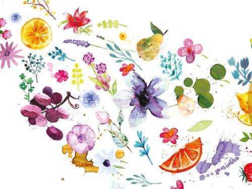 vinopis flower power vinski magazin vino fino