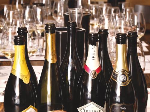 vinopis penuŠava vina srbije vinski magazin vino fino