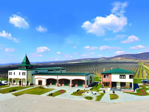 vinopis vinarija to su ljudi vinski magazin vino fino